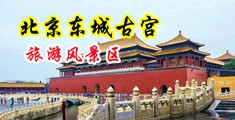 吃胸后入中国北京-东城古宫旅游风景区